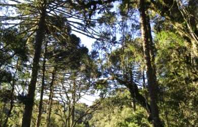 Imagem 10: Urubici - vista espetacular