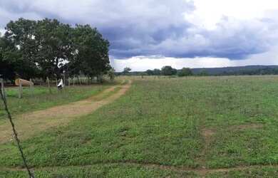 Imagem 12: . Uma Fazenda 110 alqueires 67 km de Porto Nacional