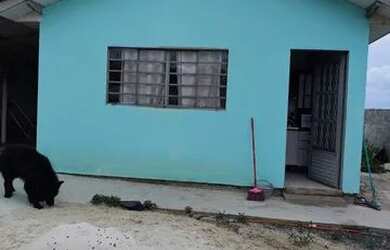 Imagem: A casa possui 2 Dormitórios, 1 Banheiro, 1 Vaga na garagem