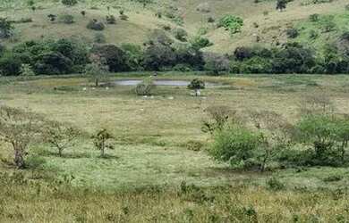 Imagem 1: - Fazenda Em Umbauba. 1.891.000m² de Área