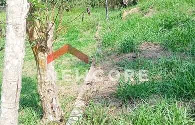 Imagem 3: Lote em Rua Sebastião Marques de Mello - Santa Isabel - Embu-Guaçu/SP