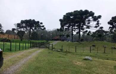 Imagem 7: Sitio - Bairro Serra Grande