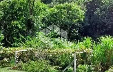 Imagem: Sitio de 22 hectares a poucos quilometros de Canela