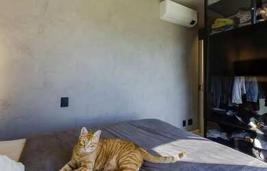 Imagem 14: Apartamento em Jurerê Internacional finamente mobiliado, 2 dormitórios...