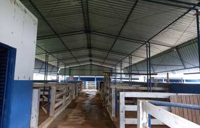 Imagem 4: Fazenda 755 hectares. 755m² de Área