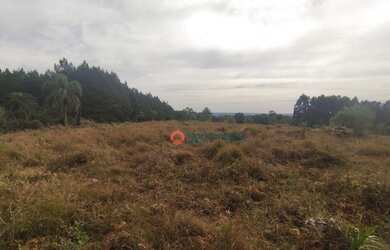 Imagem 6: Chácara à venda, 4,5 alqueires por R$ 520.000 - Guabiroba - Guarapuava/PR