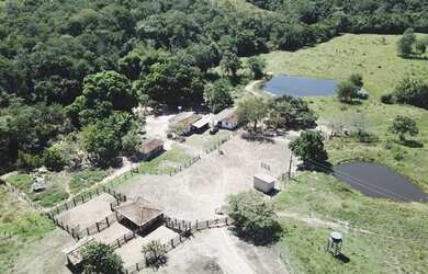 Imagem 4: Fazenda com 117 alqueires Região de Goiás Velho - GOIÁS