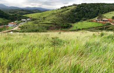 Imagem 1: Terreno para venda com 800 metros quadrados em - Santa Isabel - São Paulo