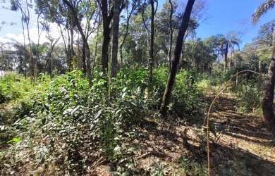 Imagem 13: Terreno à venda, 2000 m² por R$ 130.000 - Retiro do Brumado - Brumadinho/Minas Gerais