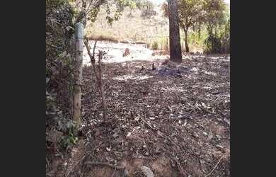 Imagem 10: vendo ou financio lote 444 metros em Juatuba bairro Dona Francisca