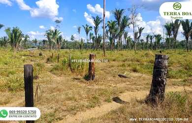 Imagem 3: SITIO 17 ALQUEIRES TODO FORMADO EM PASTO ANTES DE JACI PARANÁ