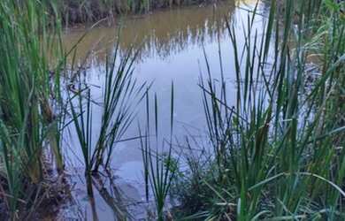 Imagem 3: Fazenda/Sítio/Chácara para venda possui 19 hectares Zona Rural - Caranaíba...