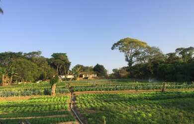 Imagem: A fazenda possui 20.000m² de Área e está localizado em Parque