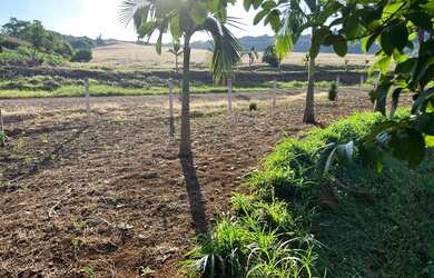 Imagem 1: Terreno em dois vizinhos. 999.999m² de Área