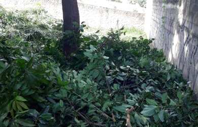 Imagem 2: Terreno à venda, 2000 m² por R$ 1.200.000 - Trevo - Belo Horizonte/MG