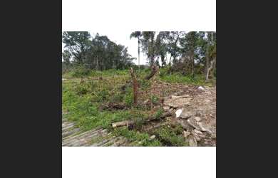 Imagem: O terreno possui 200m² de Área e está localizado em Campina