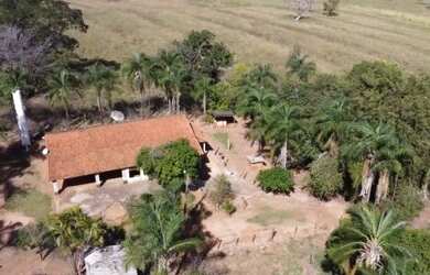 Imagem: A fazenda está localizado em Álvares Florence, SP à venda