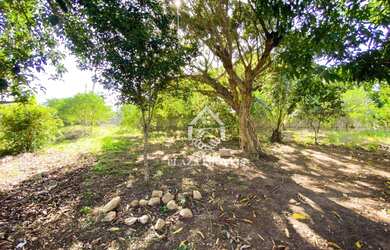 Imagem 3: Terreno à venda, 763 m² por R$ 220.000,00 - Balneário São Pedro -...