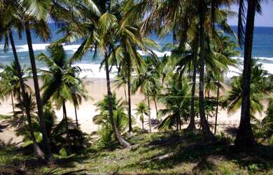 Imagem: A fazenda possui 70000m² de Área e está localizado em Maraú