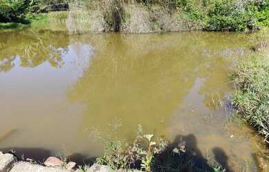 Imagem 2: Fazenda/Sítio/Chácara para venda possui 19 hectares Zona Rural - Caranaíba...