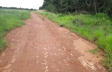 Imagem 7: Fazenda c/ 720he, sendo 500he em lavoura, Município de Rondonópolis-MT