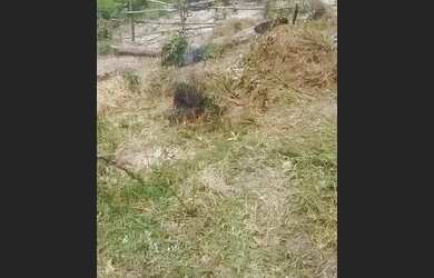 Imagem: O terreno está localizado em Cidade de Deus, Manaus à venda