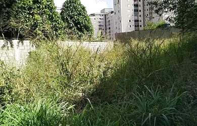 Imagem 3: Lote a venda no Goiania 2