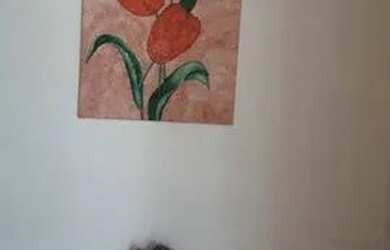 Imagem 10: Casa com 3 dormitórios, 210 m² - venda por R$ 899.900,00 ou aluguel por R$ 1.840,00/mês