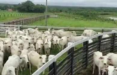 Imagem 1: Fazenda. 289m² de Área