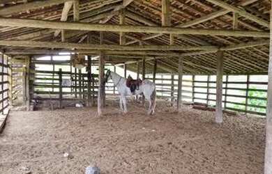 Imagem 5: - Fazenda Em Umbauba. 1.891.000m² de Área