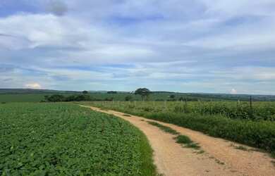 Imagem: A fazenda está localizado em Uberlândia, MG à venda por