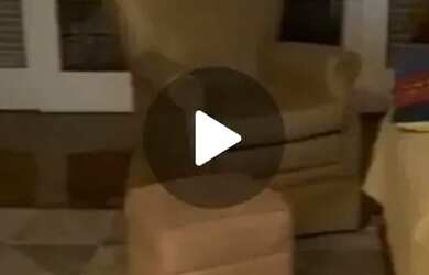 Imagem: Imóvel para venda com 124 metros quadrados com 3 quartos em