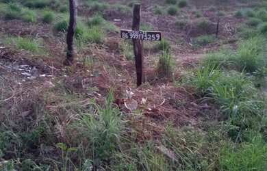 Imagem 7: Terreno. 500m² de Área