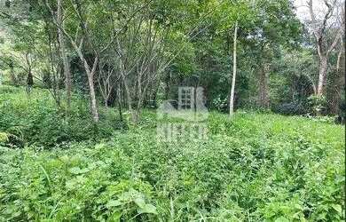 Imagem 6: Terreno à venda, 2091 m² por R$ 240.000,00 - Pendotiba - Niterói/RJ