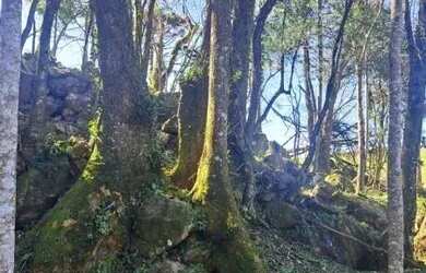 Imagem 9: Terreno Arcoverde Carlos Barbosa