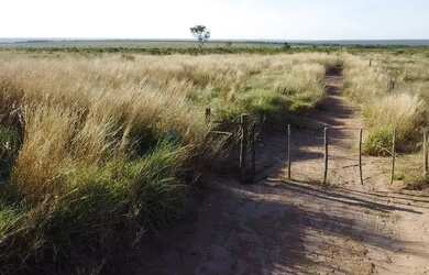 Imagem 10: Oportunidade Fazenda Campo Novo Do Parecis