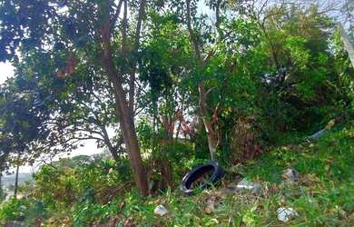 Imagem 6: Terreno à venda, 1000 m² por R$ 1.595.000,00 - Itaquera - São Paulo/SP