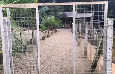 Imagem 2: Sitio em São João Batista SC 23 mil metros quadrados 700 mil