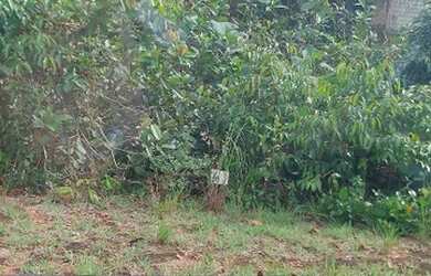 Imagem: O terreno possui 250m² de Área e está localizado em Centro