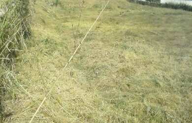 Imagem 4: Terreno Barra Mansa. 6.400m² de Área