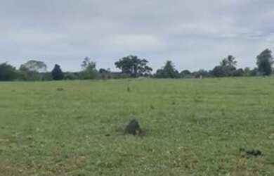 Imagem: A fazenda possui 871.200m² de Área e está localizado em