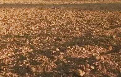 Imagem: A chácara possui 2.000m² de Área e está localizado em Grã