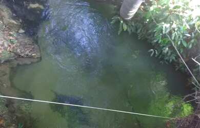 Imagem 3: .Uma excelente Fazenda 115 alqueires 48 km de Santa Maria To 3