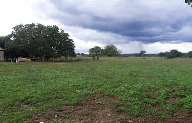 Imagem 14: . Uma Fazenda 110 alqueires 67 km de Porto Nacional