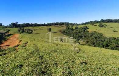 Imagem 14: 300 Hectares à Venda em Área de Plantio