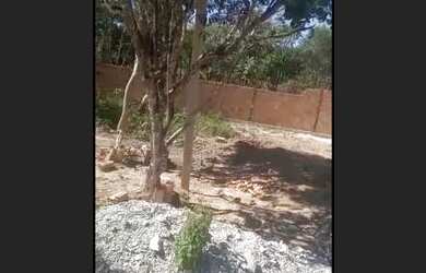 Imagem 2: Lote na Varzea das flores barato