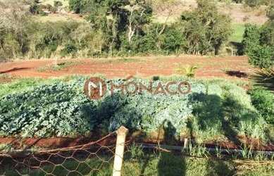 Imagem 4: Terreno à venda, 5000 m² por R$ 350.000,00 - Contorno Norte - Ibiporã/PR