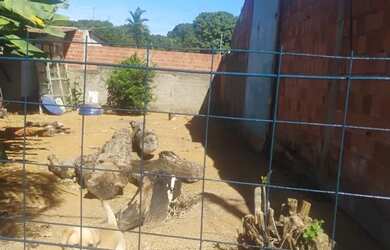 Imagem 2: Vendo Lote 200m², Condominio Fechado, Setor Tradicional, BrazlÂndia/DF