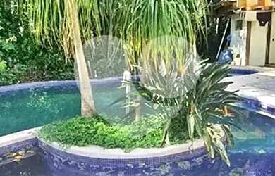 Imagem 2: Casa com 4 quartos à venda ou para locação em Roseira - SP