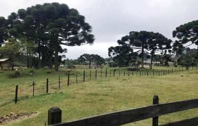 Imagem 3: Sitio - Bairro Serra Grande